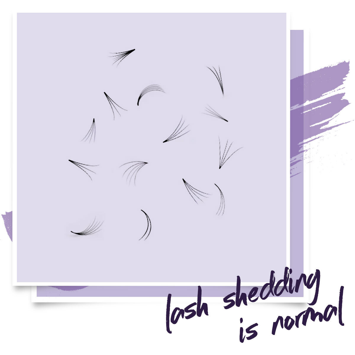 The Autumn Lash Shed: Everything You Need To Know | Nouveau Lashes