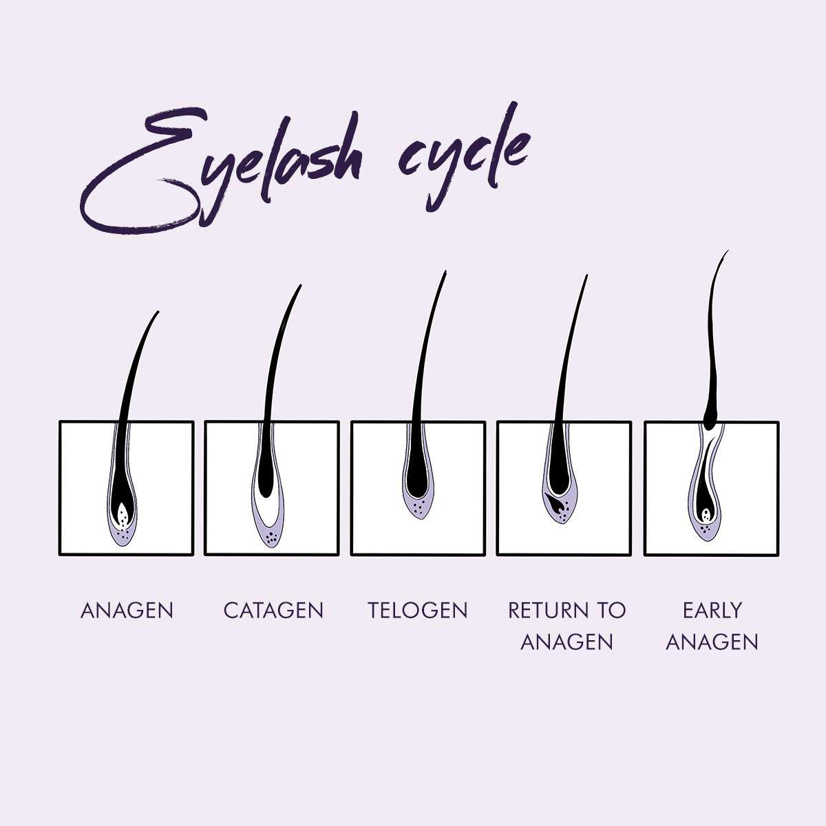 Types of on sale lash extensions